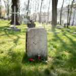 O que acontece no Crematório Vila Alpina